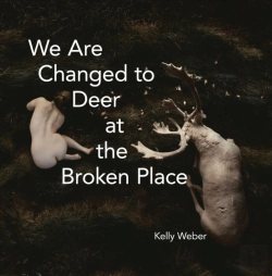 Bertrand.pt - We Are Changed To Deer At The Broken Place