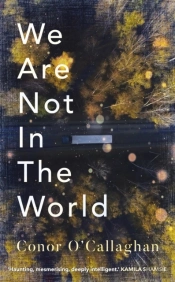 We Are Not In The World