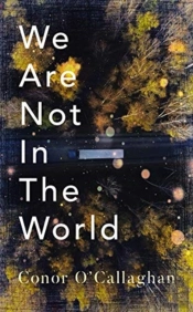 We Are Not in the World