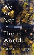 We Are Not in the World
