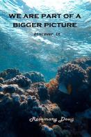 We Are Part Of A Bigger Picture