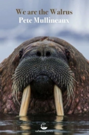 We Are The Walrus
