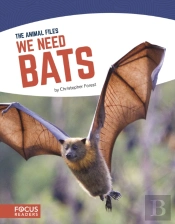 We Need Bats