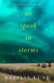 We Speak In Storms