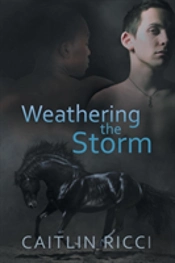 Weathering The Storm