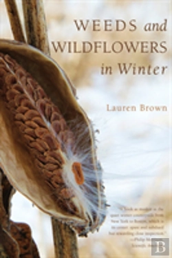 Bertrand.pt - Weeds And Wildflowers In Winter