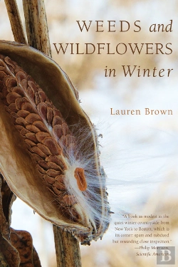 Bertrand.pt - Weeds And Wildflowers In Winter