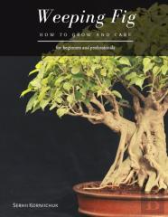 Weeping Fig