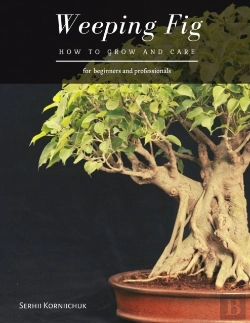 Bertrand.pt - Weeping Fig