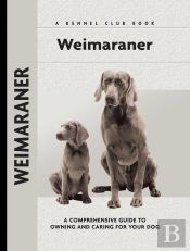 Weimaraner