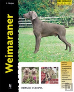 Bertrand.pt - Weimaraner