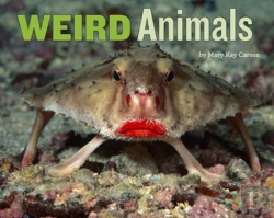 Bertrand.pt - Weird Animals