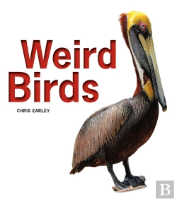 Bertrand.pt - Weird Birds