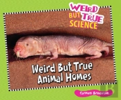 Weird But True Animal Homes