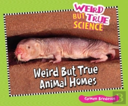 Bertrand.pt - Weird But True Animal Homes