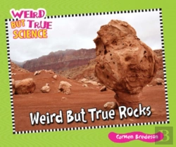 Bertrand.pt - Weird But True Rocks