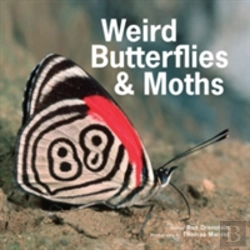 Bertrand.pt - Weird Butterflies & Moths