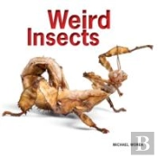Weird Insects