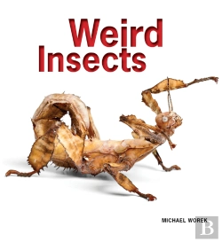 Bertrand.pt - Weird Insects