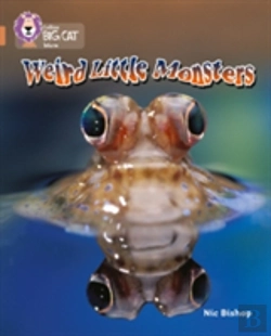 Bertrand.pt - Weird Little Monsters