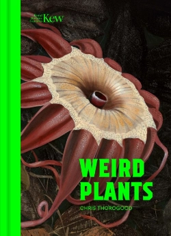 Bertrand.pt - Weird Plants