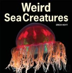 Bertrand.pt - Weird Sea Creatures