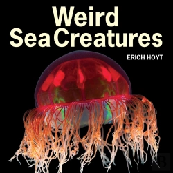 Bertrand.pt - Weird Sea Creatures