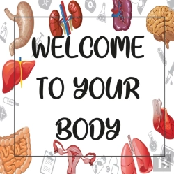 Bertrand.pt - Welcom To Your Body