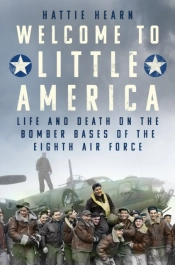 Welcome To Little America