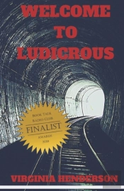 Welcome To Ludicrous