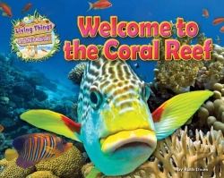 Bertrand.pt - Welcome To The Coral Reef