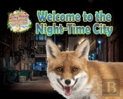 Welcome To The Night-Time City
