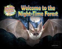 Welcome To The Night-Time Forest