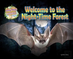 Bertrand.pt - Welcome To The Night-Time Forest