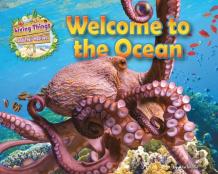 Welcome To The Ocean