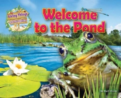 Bertrand.pt - Welcome To The Pond