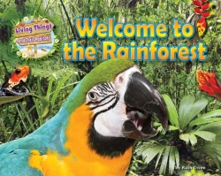 Bertrand.pt - Welcome To The Rainforest