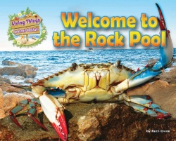 Bertrand.pt - Welcome To The Rock Pool