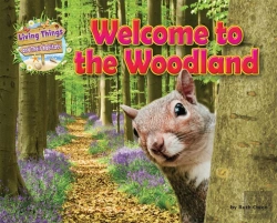 Bertrand.pt - Welcome To The Woodland