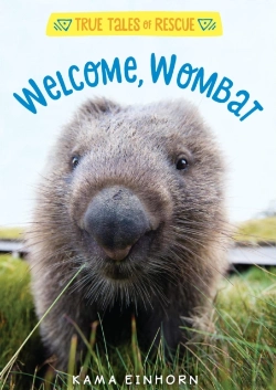 Bertrand.pt - Welcome, Wombat