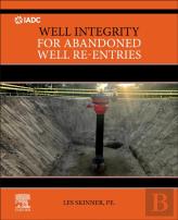 Well Integrity For Abandoned Well Re-Entries