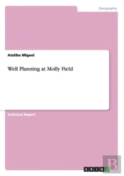 Well Planning At Molly Field