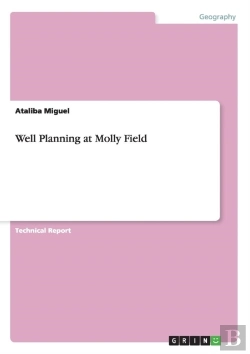 Bertrand.pt - Well Planning At Molly Field