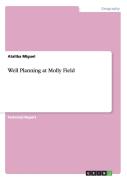 Well Planning At Molly Field