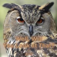 Well, Will You Look At That? Eyes
