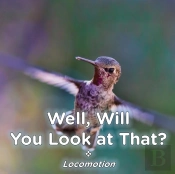 Well, Will You Look At That? Locomotion