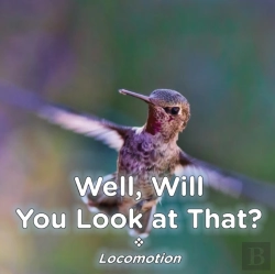 Bertrand.pt - Well, Will You Look At That? Locomotion