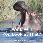 Well Will You Look At That? Mouth & Teeth