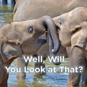 Well, Will You Look At That? Noses
