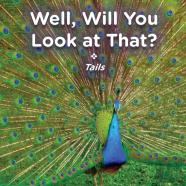 Well, Will You Look At That? Tails